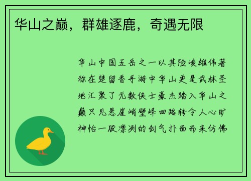 华山之巅，群雄逐鹿，奇遇无限