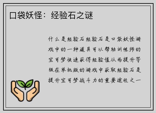 口袋妖怪：经验石之谜